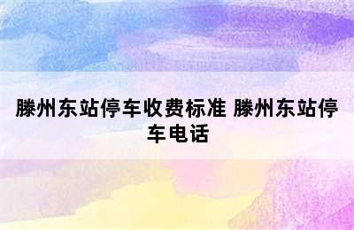 滕州东站停车收费标准 滕州东站停车电话